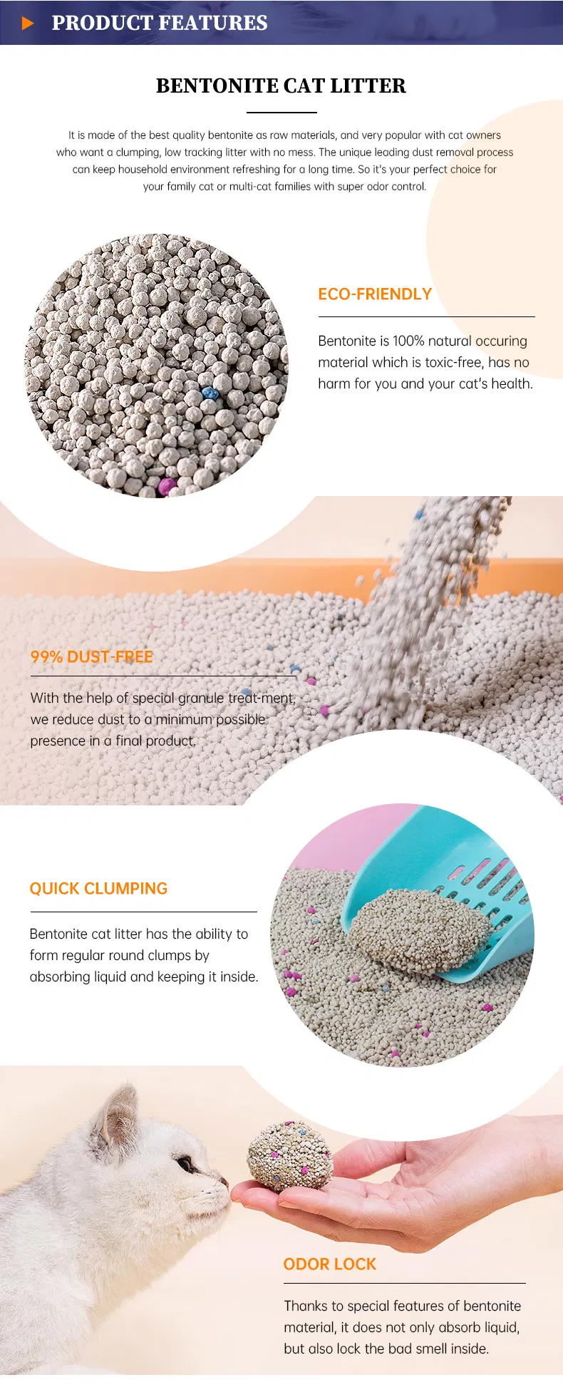 Cat Litter Display 2