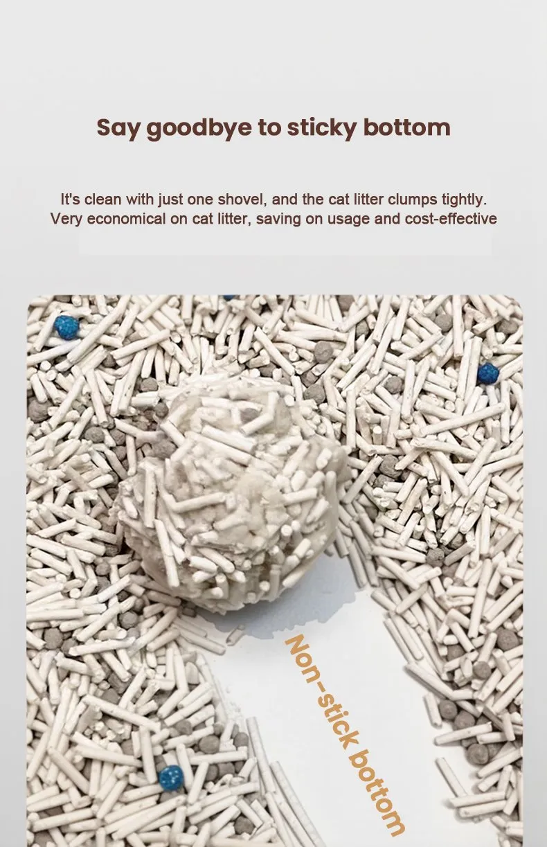 Cat Litter Display 1