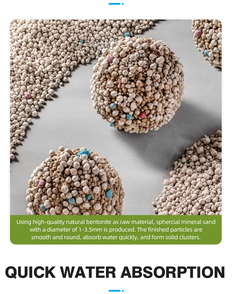 Cat Litter Display 3