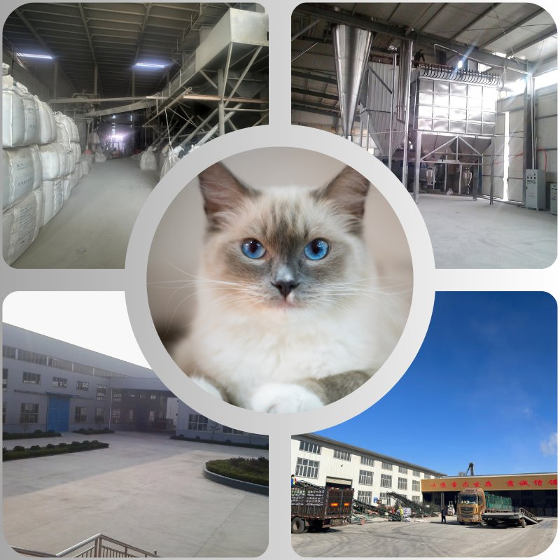 Wholesale Clumping Crushed Cat Litter 6L Sustainable Tofu Cat Litter Sand Broken Bentonite Cat Litter Cassava Bulk Manufacturer