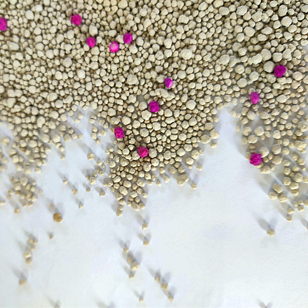 Top Listed Exporter of High Quality Mineral Bentonite Cat Litter Pine Wood Cat Litter