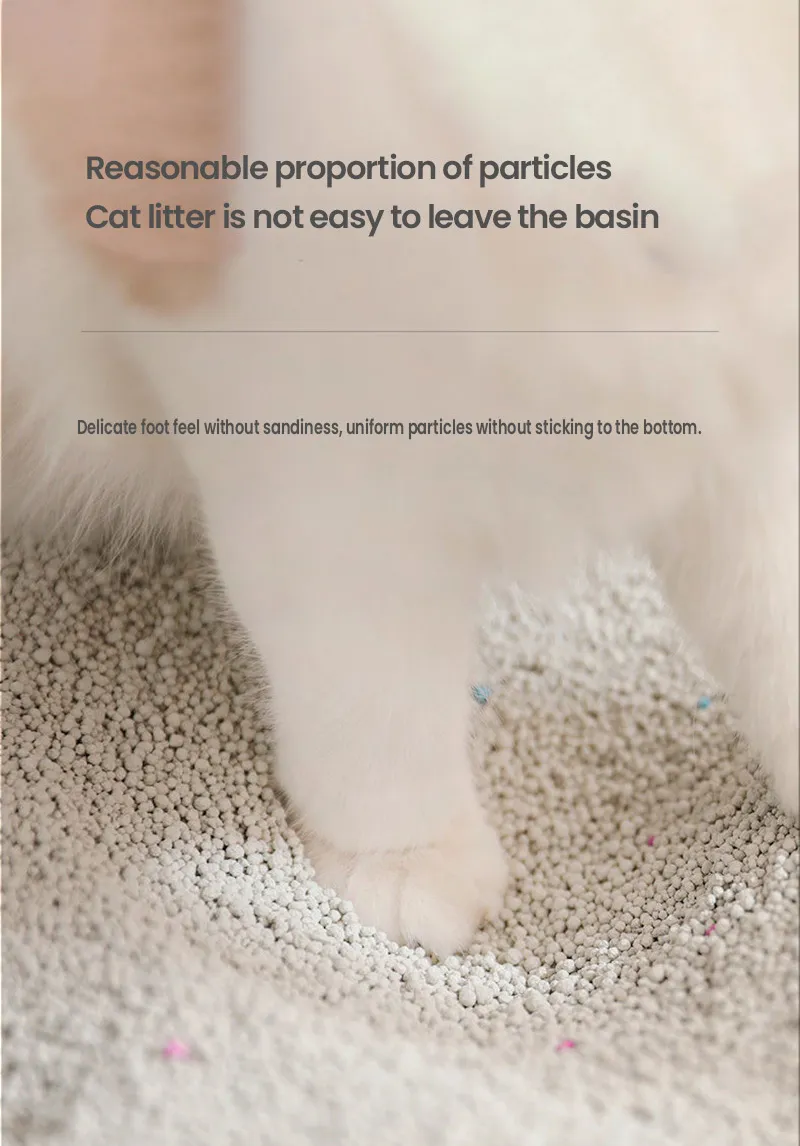 Cat Litter Details 3