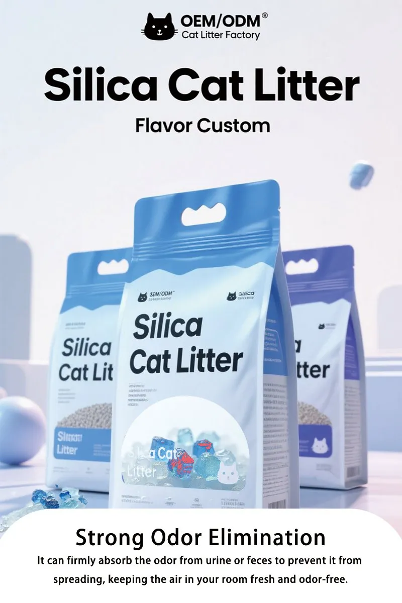 Cat Litter Detail 1