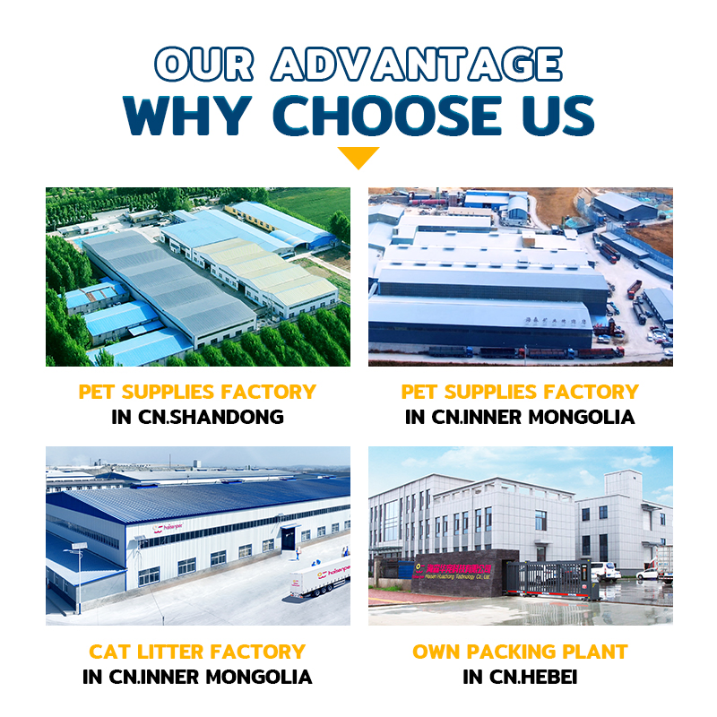 OEM ODM Factory Direct Sale Odor Control Cat Sand Strip Shape Broken Tofu Cat Litter