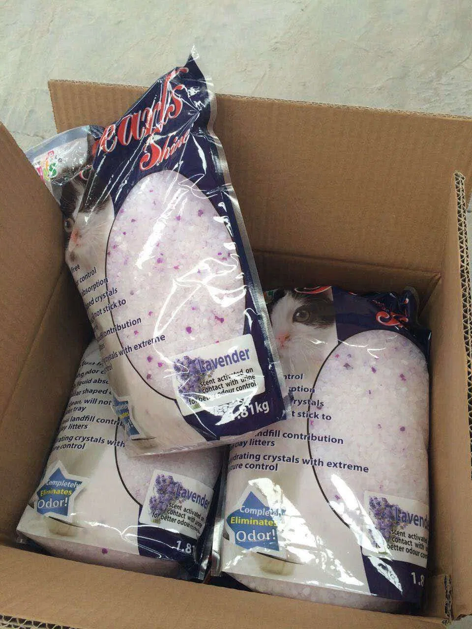 Cat Litter High Quality No Dust Deodorizer Factory Supply Pet Silicone Silica Gel