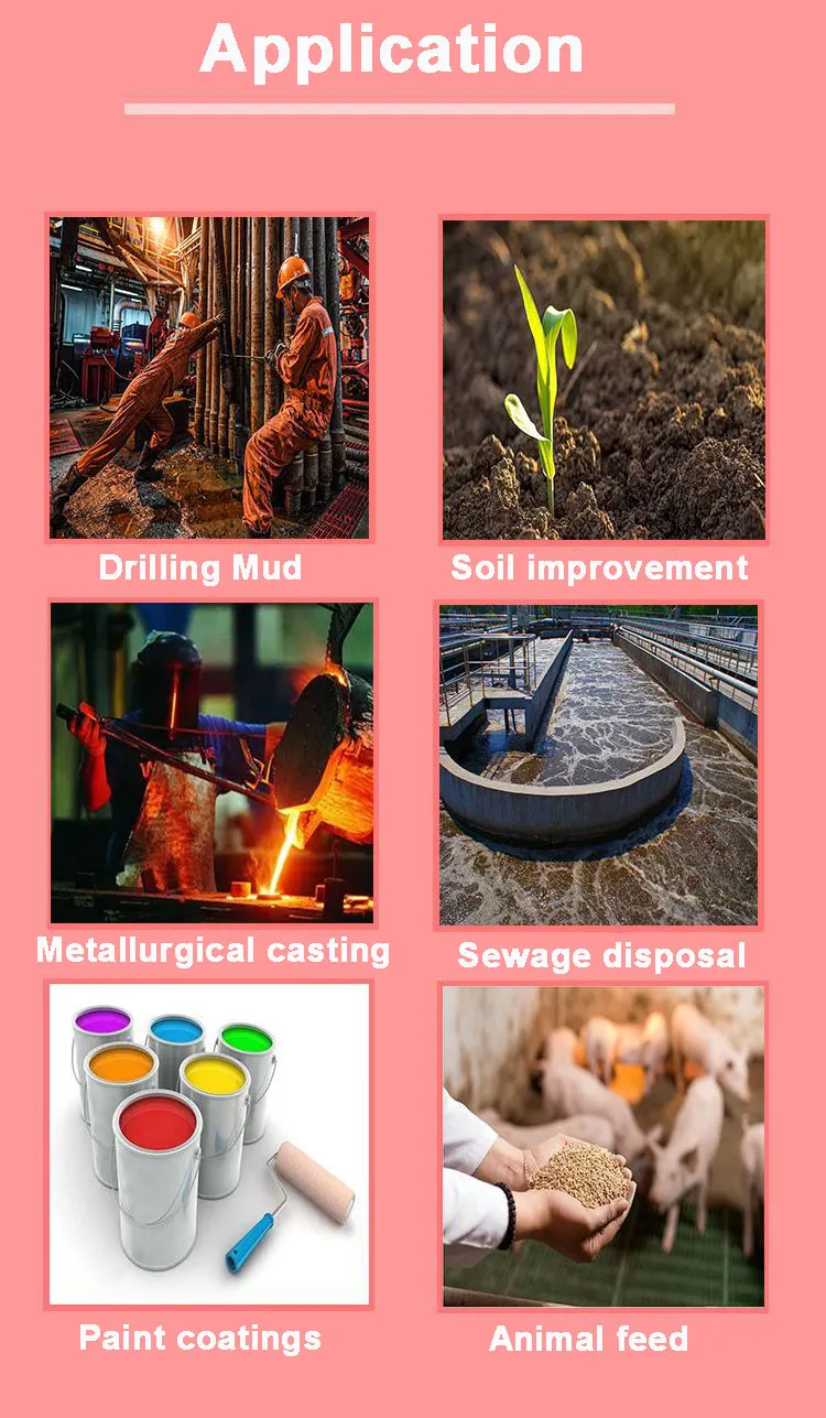 Processing Product Display