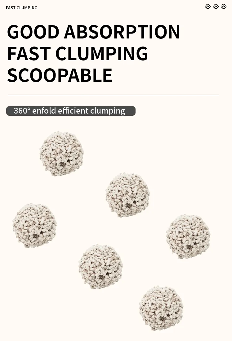 Cat Litter Feature 2