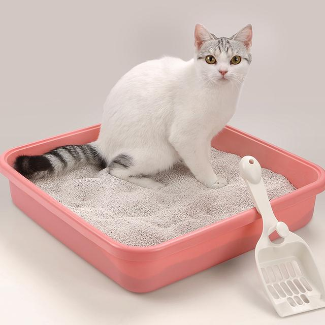 pH Health Monitor Tofu Cat Litter 2.5kg Eco-Friendly Natural Scented Cat Cleaning 2.0mm