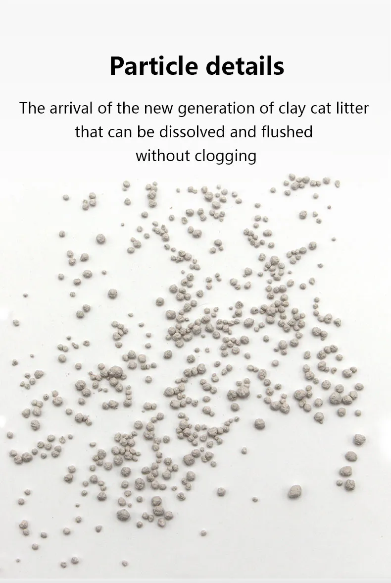 Cat Litter Detail 1