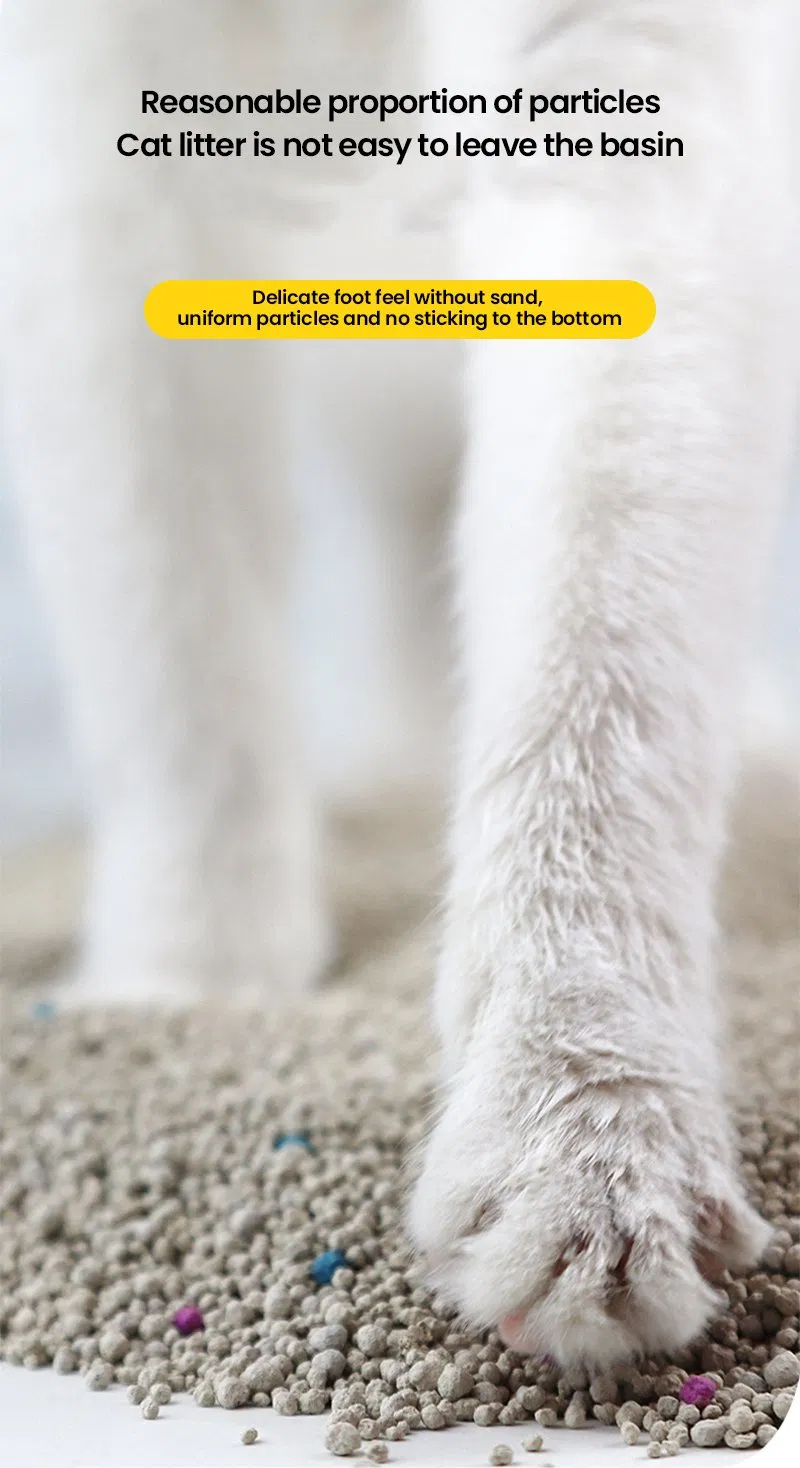 Cat Litter Detail 9