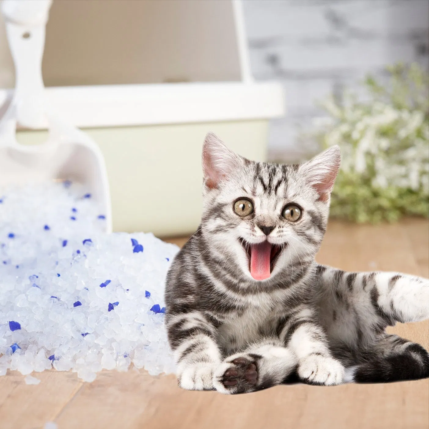 OEM ODM Wholesale Pet Toilet Clean Product Crystal Gel Sand None Clumping Low Dust Silica Cat Litter