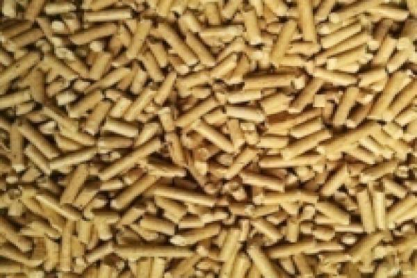 Green Tea Pine Cat Litter 20lb