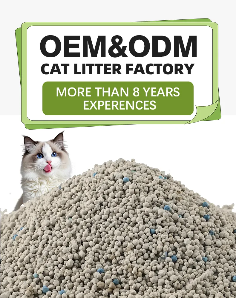 Cat Litter Display 1