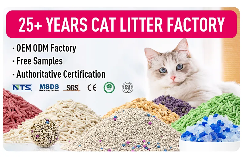 Crystal Cat Litter Overview
