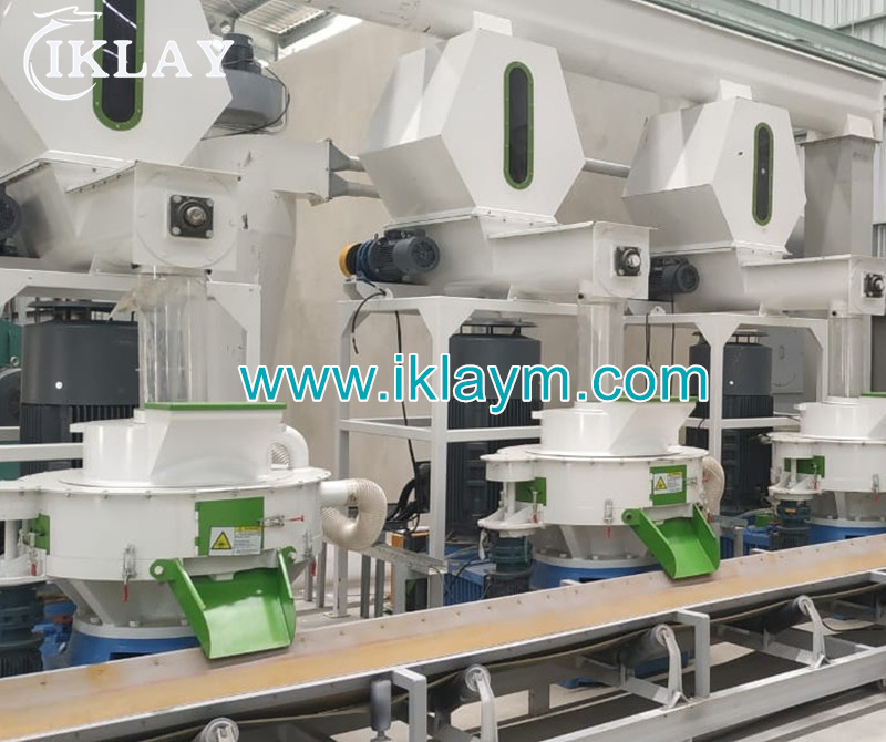 Animal Bed Pellets Production Line Pet Bedding Pellet Line