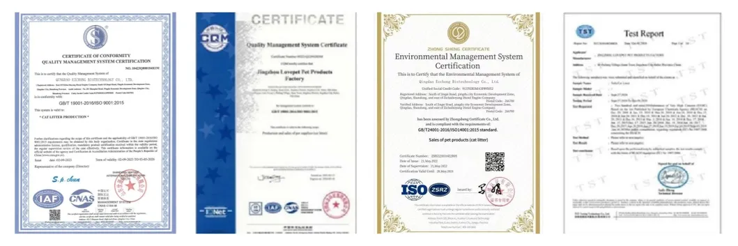 International Certifications