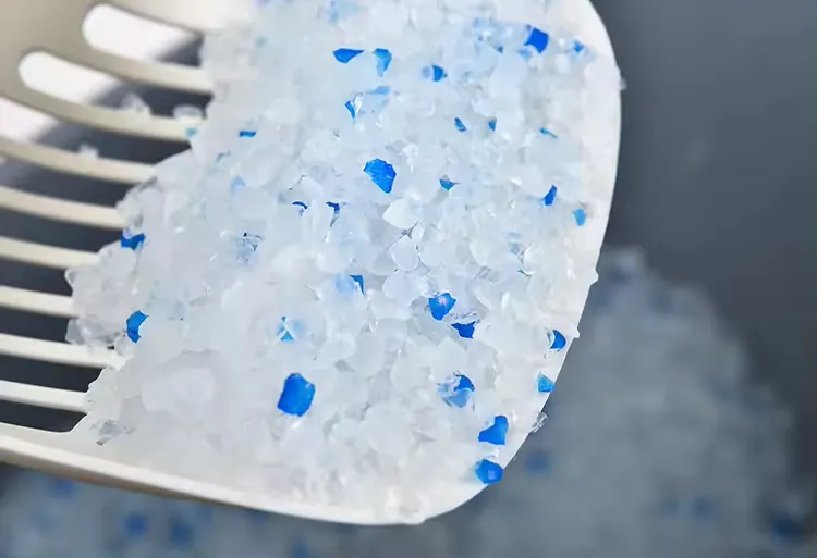 Cat Litter Feature 5