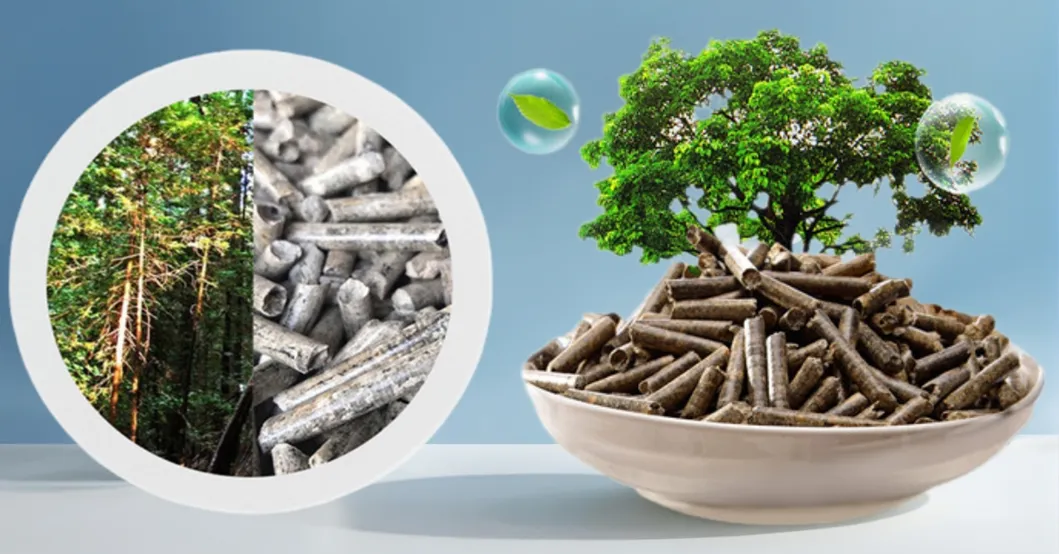 Deodorization Process