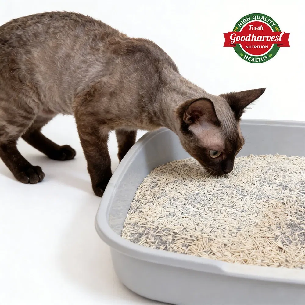 Customizable Scented Low Dust Formula High Absorbency Free Design Bentonite Cat Litter