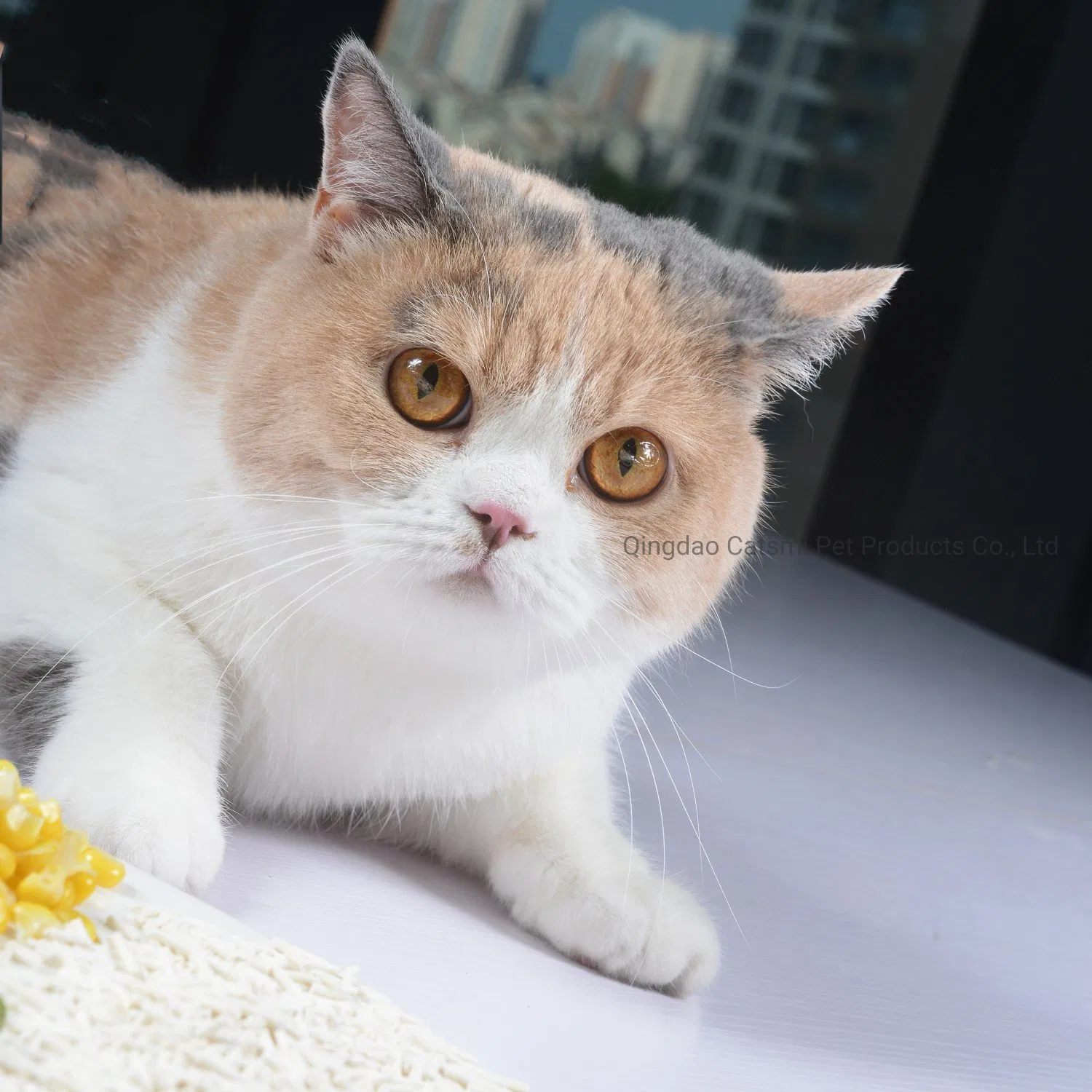 Factory Wholesale Pet Fast Clumping Soluble Broken Cat Sand Original/Mixing Scented Tofu Cat Litter