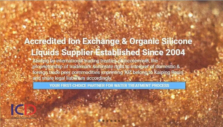 Anion Exchange Resin