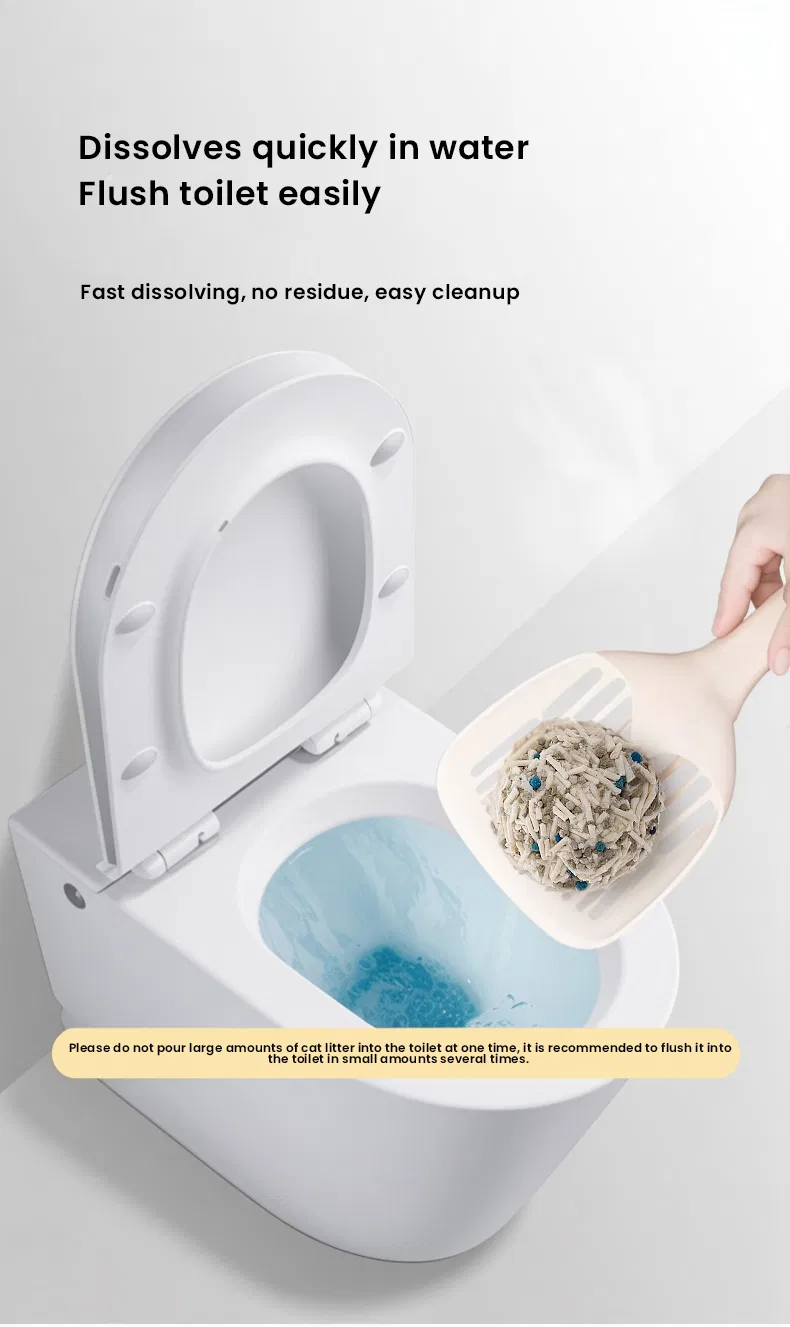 Cat Litter Display 6