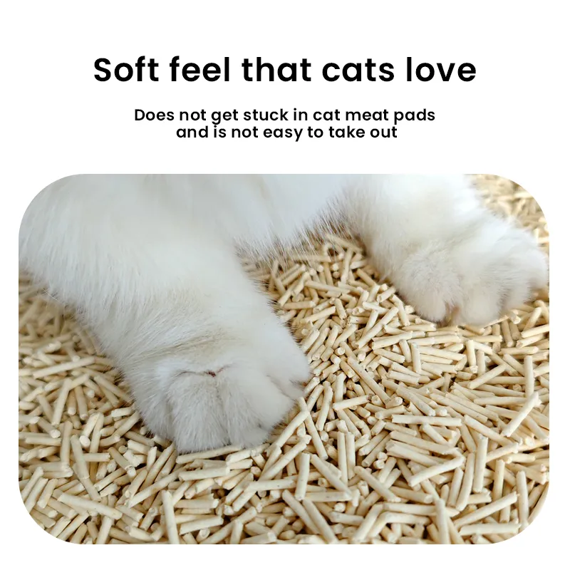 Flushable Cat Litter