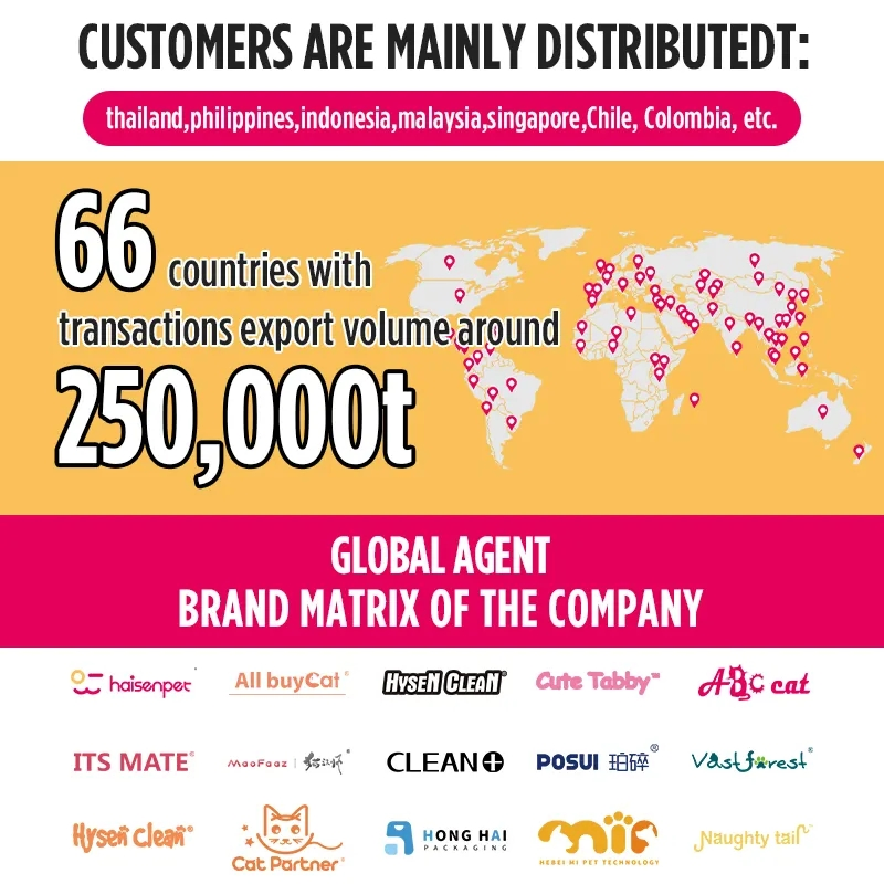 Fast Delivery Organic Unscented OEM/ODM Plant Cassava Cat Litter