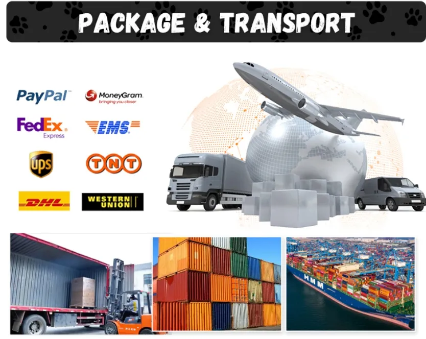 Packaging and Logistics