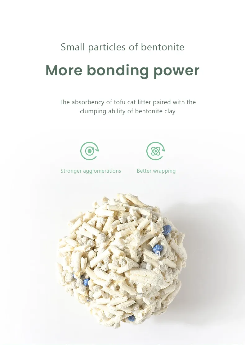 Cat Litter Display 5