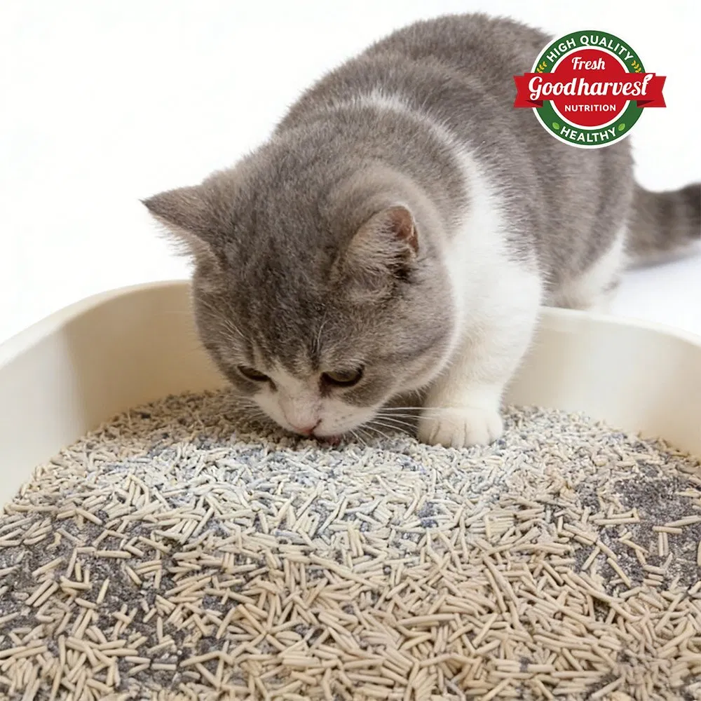 Customizable Scented Low Dust Formula High Absorbency Free Design Bentonite Cat Litter
