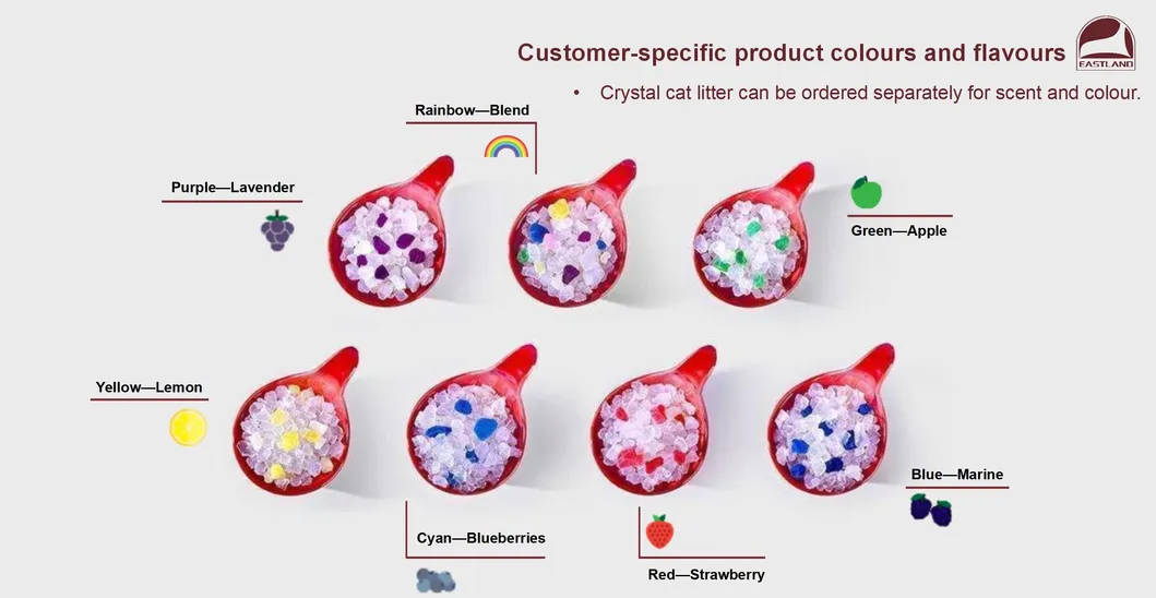 Customization Process