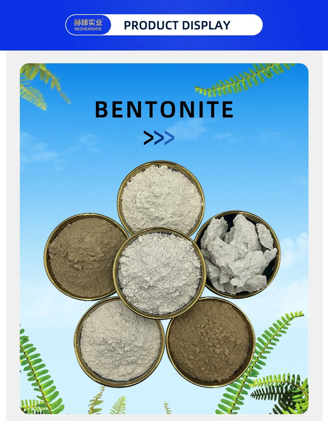 Sodium Bentonite Details