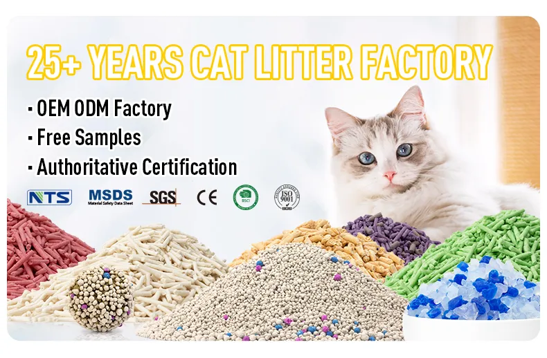 Cat Health Monitoring Litter Additive