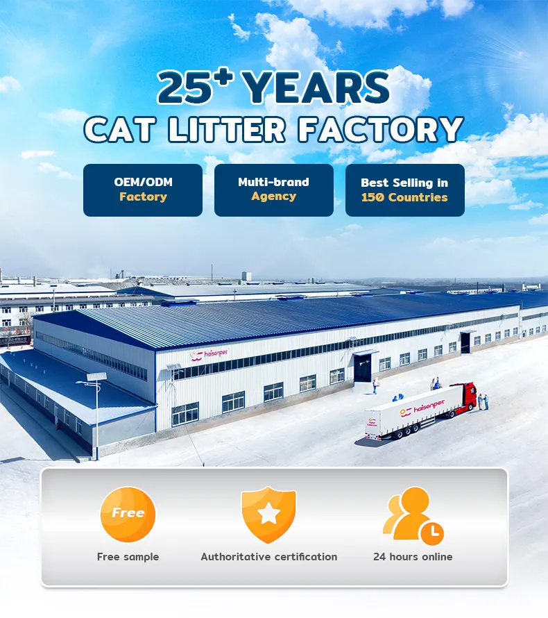 Bentonite Cat Litter