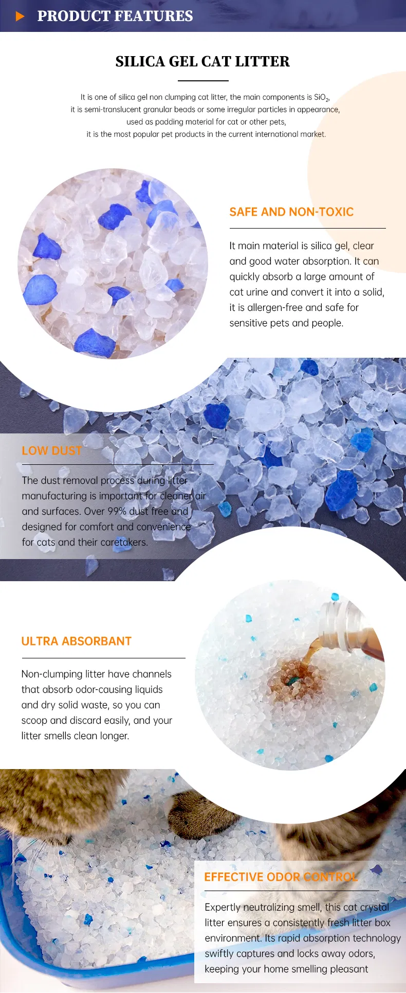 Cat Litter Display 2