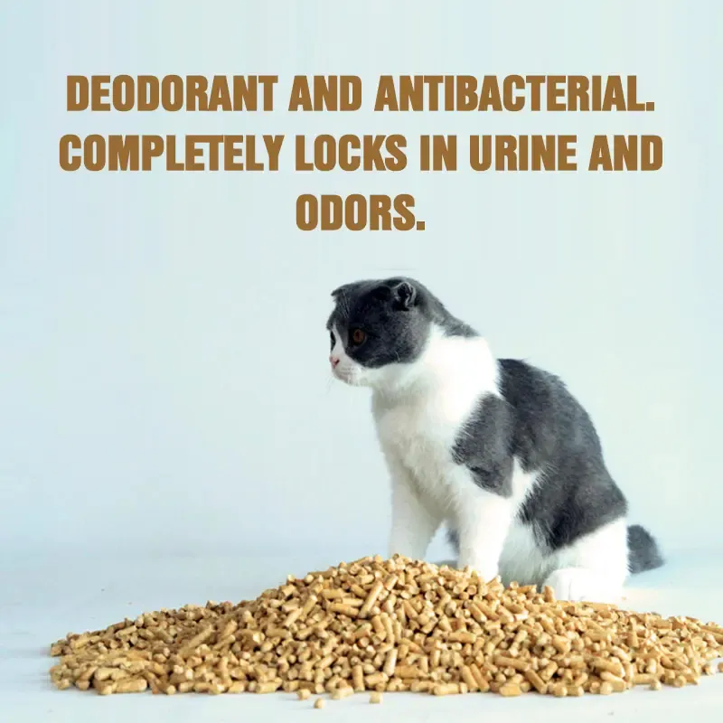 Cat Litter Details 2