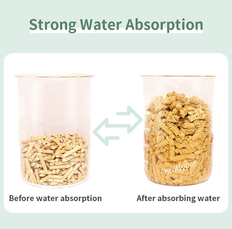 High Absorption Test