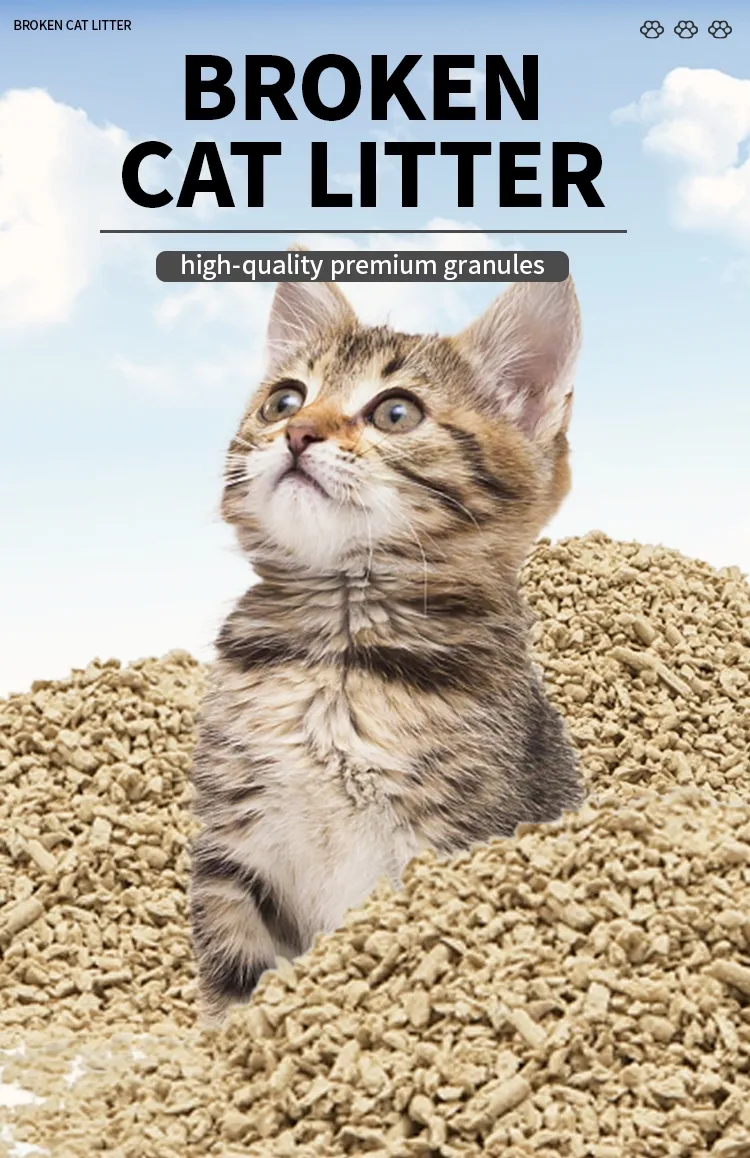 Cat Litter Feature 2