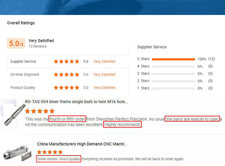 Customer Review 1
