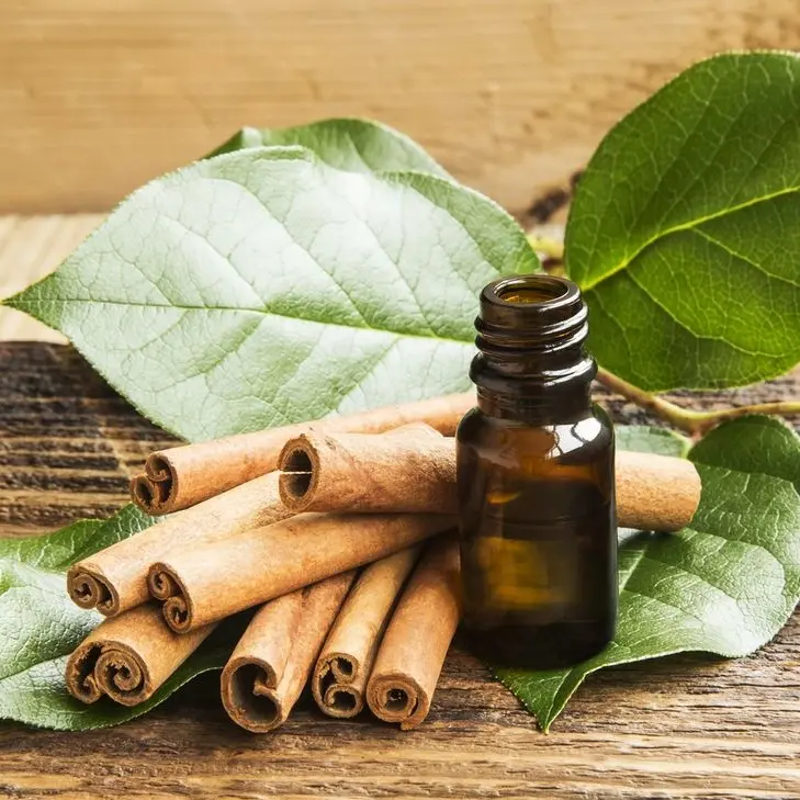 High-Quality Pharmaceutical Grade Cinnamon Oil from Manufacturer Suppliers, Service