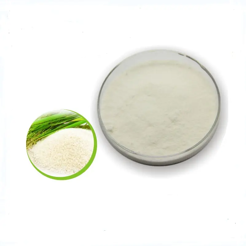 High-Quality 100% Natural Rice Protein with High Quality Supplier, Product