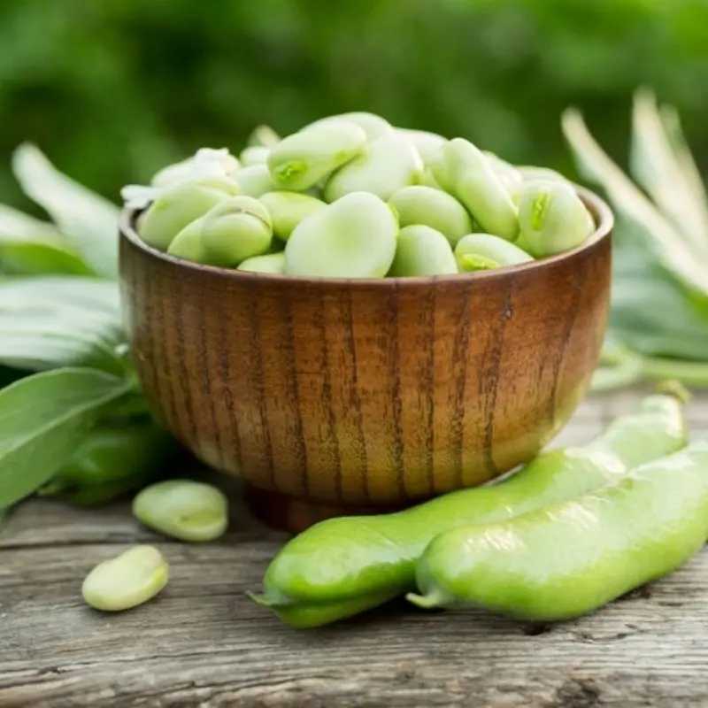 Best Natural Water Soluble Fava Bean Peptide for Supplement Supplier, Suppliers