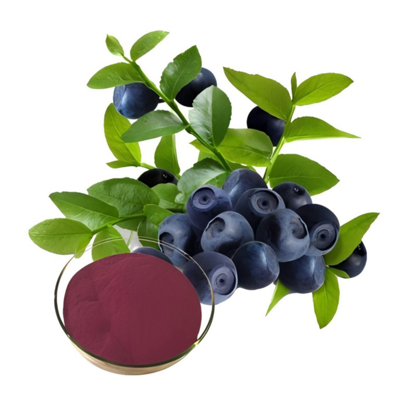 Bilberry-Extract