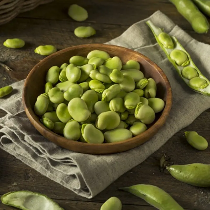 Best Natural Water Soluble Fava Bean Peptide for Supplement Supplier, Suppliers