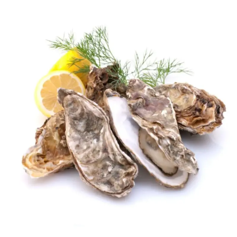 Best 100% Natural Oyster Protein Peptides with high purity Suppliers, Service