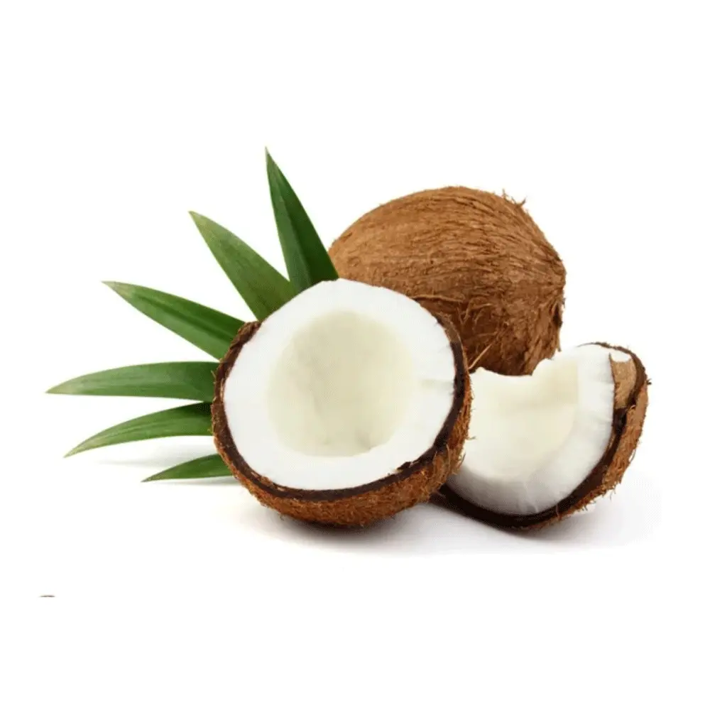 Best Natural MCT (medium chain triglyceride) Oil Powder for Food Supplement Products, Product
