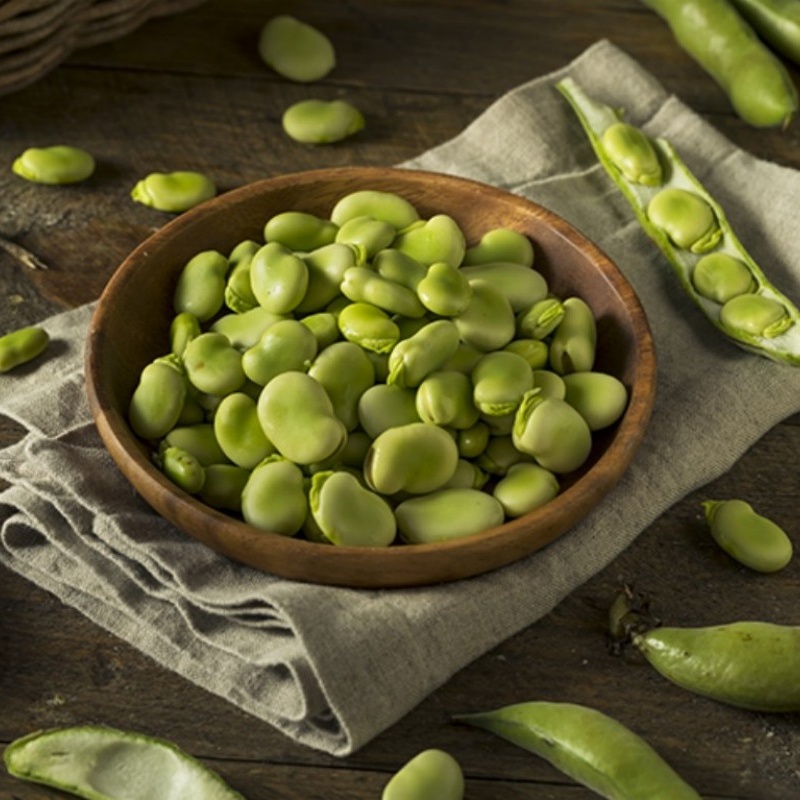 Fava Bean Peptide Application