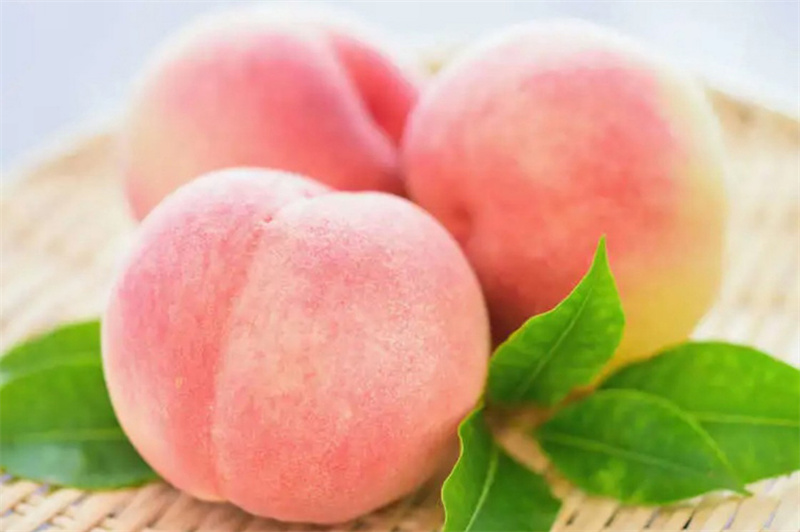 Peach Powder Application 01