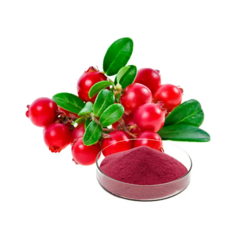 High-Quality Natural Cranberry Fruit Extract Powder of Procyanidins 25% Suppliers, Product